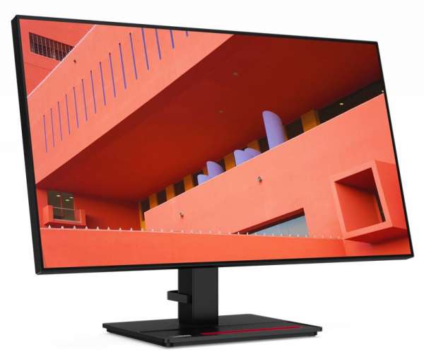 Lenovo ThinkVision P27h-20 - LED-Monitor - 69 cm (27")