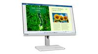Lenovo L24m-40 - LED-Monitor - 63.5 cm (25") (24.5" sichtbar)