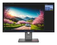 Lenovo ThinkVision P32UD-40 - LED-Monitor - 3840 x 2160 4K @ 120 Hz
