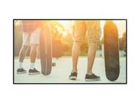 NEC Display MultiSync M321 PG - M Series - LED-Monitor - 81.3 cm (32")