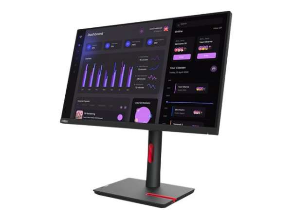 Lenovo ThinkVision T24i-30 - LED-Monitor - 61 cm (24")