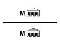ROLINE Patch-Kabel - RJ-45 (M) zu RJ-45 (M)