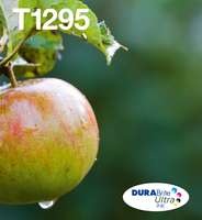 Epson Multipack T129 EasyMail - 4er-Pack - L-Größe