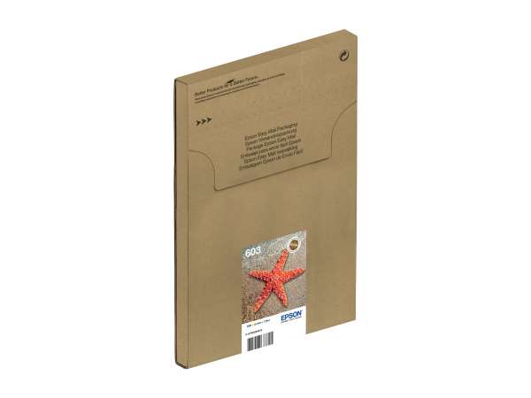 Epson 603 Multipack Easy Mail Packaging - 3er-Pack
