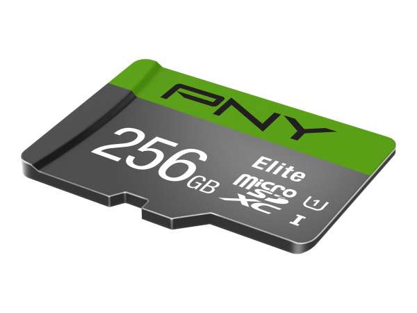 PNY Elite - Flash-Speicherkarte - 256 GB - A1 / Video Class V10 / UHS Class 1 / Class10