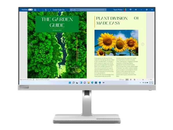 Lenovo L24m-40 - LED-Monitor - 63.5 cm (25") (24.5" sichtbar)