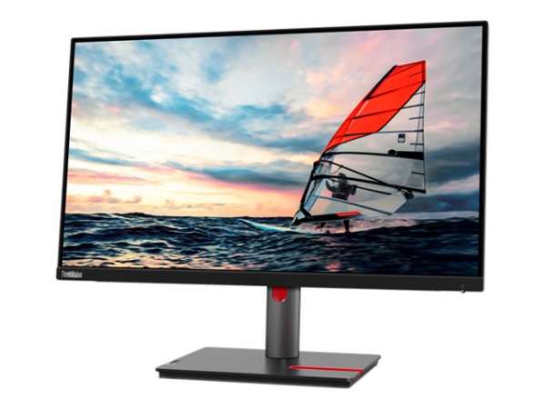 Lenovo ThinkVision P25i-30 - LED-Monitor - 63.5 cm (25")