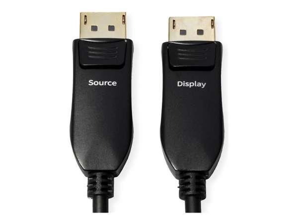 ROLINE DisplayPort-Kabel - DisplayPort (M)