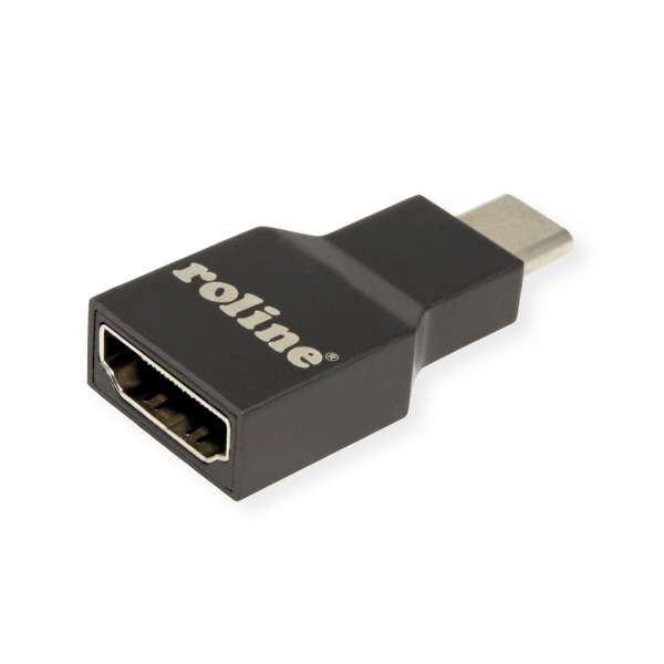 ROLINE Videoadapter - 24 pin USB-C männlich