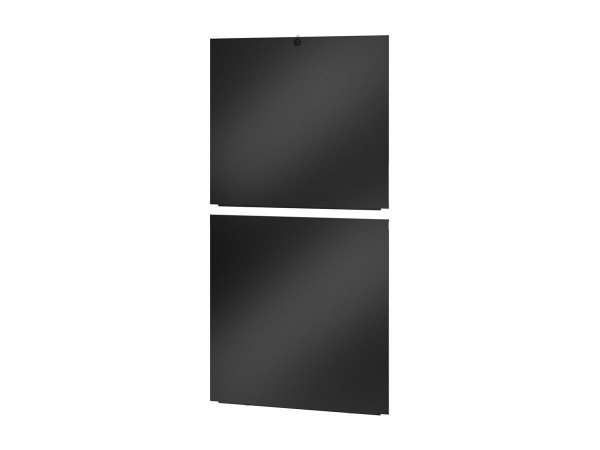 APC Easy Rack - Seitenwand für Rack - Schwarz - 42HE - 48.3 cm (19")