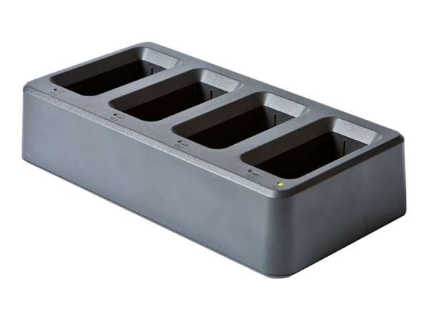 Brother PA-4BC-4000EU - Batterieladegerät - Ausgangsanschlüsse: