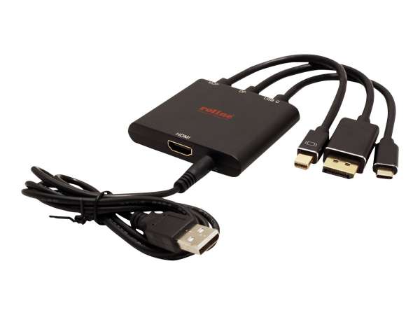 ROLINE Videoadapter - DisplayPort, Mini DisplayPort, 24 pin USB-C männlich zu power DC jack, HDMI we