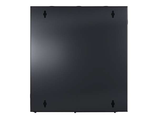 APC NetShelter WX - Schrank - geeignet für Wandmontage - Schwarz - 13U - 48.3 cm (19")