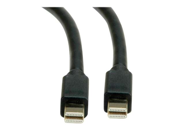 ROLINE DisplayPort-Kabel - Mini DisplayPort (M)