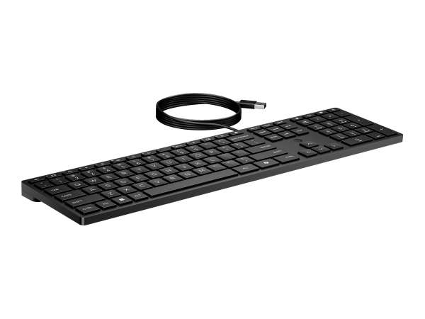 HP Desktop 320K - Tastatur - USB - QWERTZ - Schweizerisch
