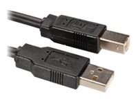 ROLINE USB-Kabel - USB (M) zu USB Typ B (M)