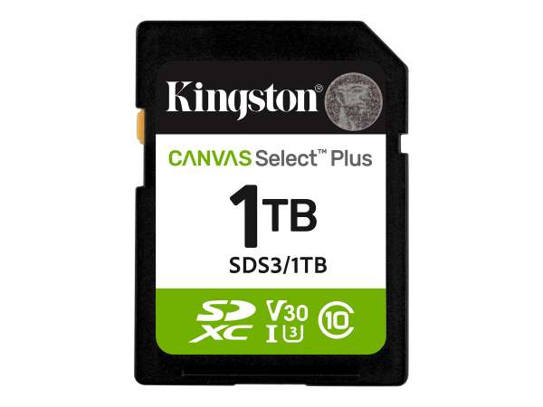 Kingston Canvas Select Plus - Flash-Speicherkarte