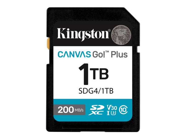 Kingston Canvas Go! Plus - Flash-Speicherkarte