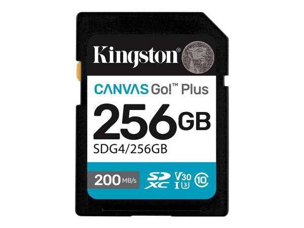 Kingston Canvas Go! Plus - Flash-Speicherkarte