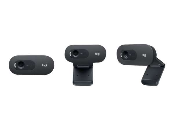 Logitech C505e - Webcam - Farbe - 720p - feste Brennweite
