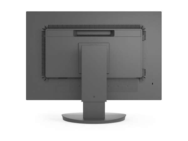 NEC Display Sharp MultiSync EA241W - LED-Monitor - 61 cm (24")