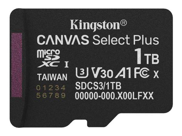 Kingston Canvas Select Plus - Flash-Speicherkarte