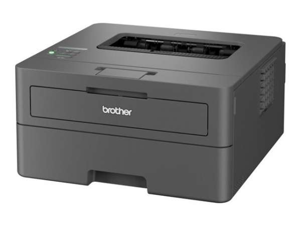 Brother HL-L2400DW - Drucker - s/w - Duplex