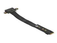 InLine USB Display Kabel - USB-C Stecker zu DVI Stecker - 1m