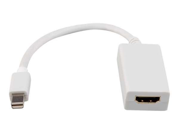 ROLINE Videoadapter - Mini DisplayPort männlich