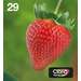 Epson Multipack 29 EasyMail - 4er-Pack - Schwarz