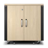 APC NetShelter - Schrank (vertikal) - schallisoliert - AC 100-230 V - Ahorn - 12U - 48.3 cm (19")