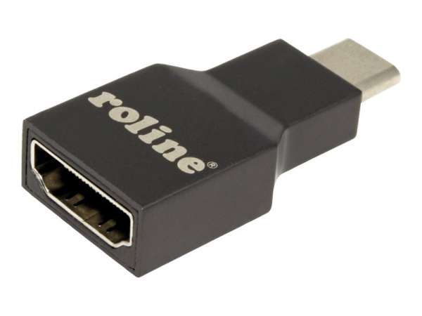 ROLINE Videoadapter - 24 pin USB-C männlich