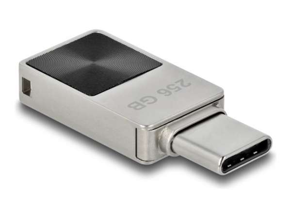 Delock USB-Flash-Laufwerk - 256 GB - USB-C