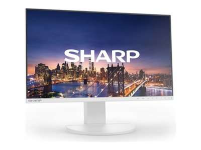 NEC Display MultiSync EA241F - EA Series - LED-Monitor - 61 cm (24")