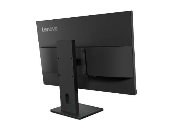 Lenovo ThinkVision E24-40 - LED-Monitor - 61 cm (24")