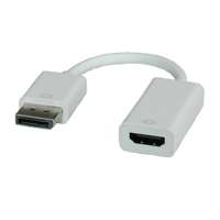 ROLINE Videoadapter - DisplayPort männlich