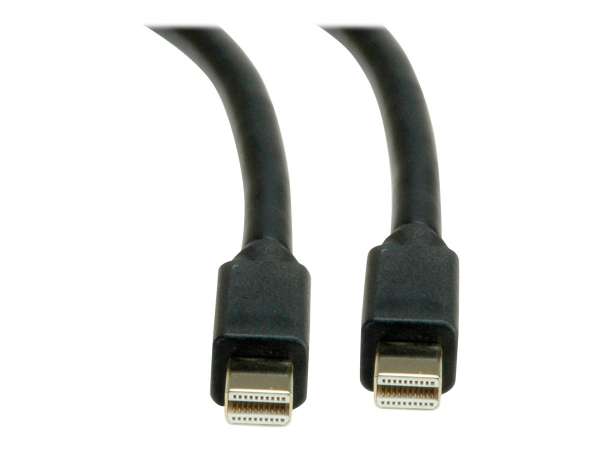 ROLINE DisplayPort-Kabel - Mini DisplayPort (M)