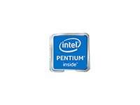 Intel Pentium Gold G6600 - 4.2 GHz - 2 Kerne
