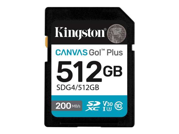Kingston Canvas Go! Plus - Flash-Speicherkarte