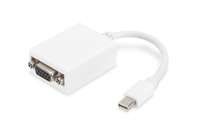 DIGITUS DisplayPort-Adapter - Mini DisplayPort (M)