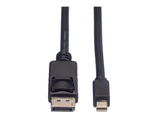 ROLINE DisplayPort-Kabel - DisplayPort (M)
