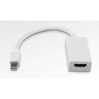 ROLINE Videoadapter - Mini DisplayPort männlich