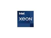 Intel Xeon W W-1350 - 3.3 GHz - 6 Kerne - 12 Threads