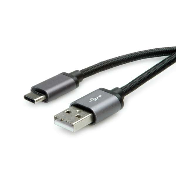 ROLINE Video Selektor - Bildschirm-Switch - 2 x VGA