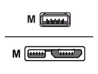 ROLINE Gold - USB-Kabel - Micro-USB Type B (M)