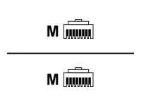 ROLINE Patch-Kabel - RJ-45 (M) zu RJ-45 (M)
