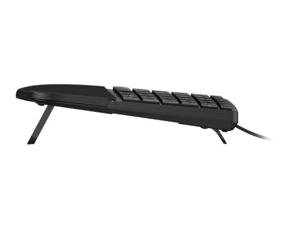 HP 485 Comfort - Tastatur - mehrere Geräte, 23