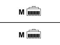 ROLINE Patch-Kabel - RJ-45 (M) zu RJ-45 (M)