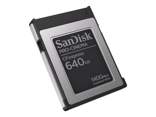 SANDISK PROFESSION SanDisk PRO-CINEMA - Flash-Speicherkarte - 640 GB