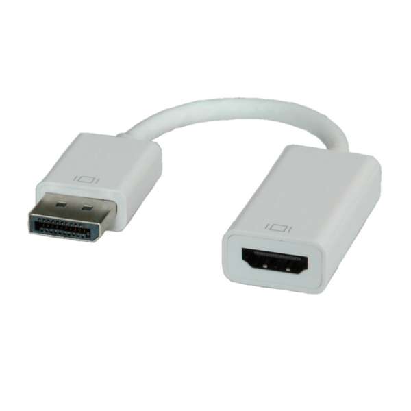ROLINE Videoadapter - DisplayPort männlich